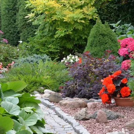 Апартаменты Montika *