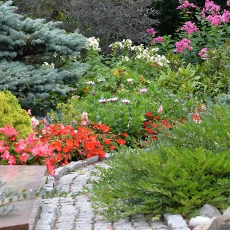 Апартаменты Montika Паланга