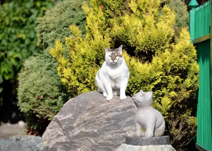 Apartment Montika Palanga